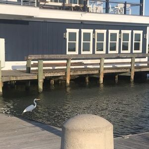 Meet your Posher, Connie